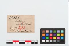 Etiketten zu Bronzespiralröhrchen (NHMW-PRAE-024865)